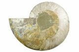 Cut & Polished Ammonite Fossil (Half) - Madagascar #347538-1